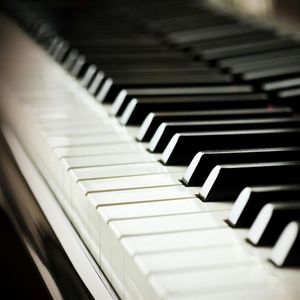 激情视频在线免费观看8852
